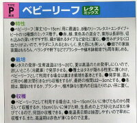 クリックして拡大