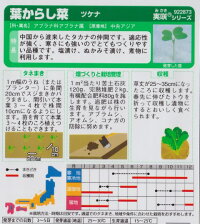 袋裏→クリックして拡大