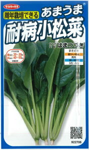 y܂ܑϕa؁z͂܂Â(10ml)^lyTJ^zzR}ci[H܂][t܂]922706