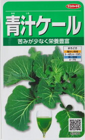 楽天市場 秋まきケールの通販