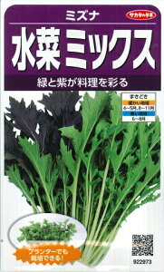 y~Yiz؃~bNXyTJ^̃^lzi5ml/1200j؎/[t܂][H܂]