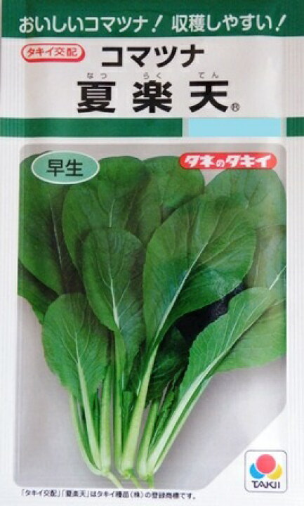 楽天市場 コマツナ 夏楽天 7ml タキイ交配 野菜種 小松菜 タキイ種苗 春まき 秋まき Gf Hana Uta 米沢園芸 楽天市場店 楽天市場 コマツナ 夏楽天 7ml タキイ交配 野菜種 小松菜 タキイ種苗 春まき 秋まき Gf Hana Uta 米沢園芸 楽天市場店