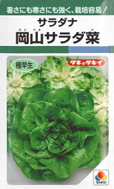 【サラダ菜】岡山サラダ菜 【タキイ種苗】（1.4ml）野菜種[春まき][秋まき]GF