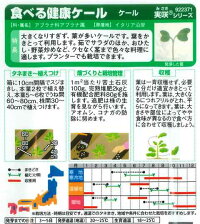袋裏→クリックして拡大