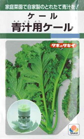楽天市場 秋まき 野菜 種の通販 楽天市場 秋まき 野菜 種の通販