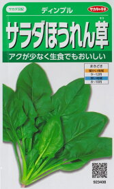 【サラダほうれん草】ディンプル 【サカタのタネ】（25ml）ホウレンソウ/野菜種[秋まき]923408