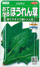 【おてがるほうれん草】ソロモン 【サカタのタネ】（25ml）ホウレンソウ/野菜種[秋まき]923405