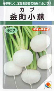 yJuziȂ܂ԁjy^LCczi9mlj؎[t܂][H܂]GF