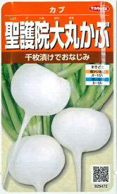 【大カブ】聖護院大丸かぶ （しょうごいん）【サカタのタネ】（8ml）野菜種[秋まき]925472