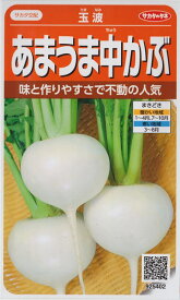 【あまうま中かぶ】玉波【サカタ交配】（4ml）野菜種/カブ[春まき][秋まき]925402