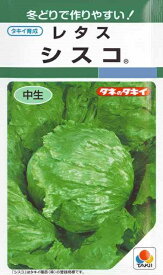 【レタス】シスコ【タキイ種苗】（0.9ml）野菜種[春まき][秋まき]GF