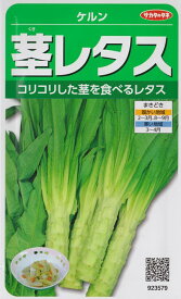 【茎レタス】ケルン【サカタのタネ】（1.2ml）野菜種[春まき][秋まき]923579