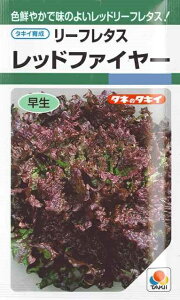 y[t^Xzbht@C[ y^LCczi1.3mlj؎[t܂][H܂]