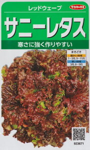 yTj[^XzbhEF[uyTJ^̃^lzi3mlj[t܂][H܂]923671