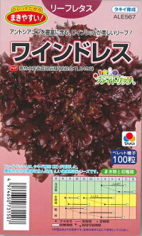ワインレタス【タキイ種苗】