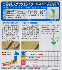 袋裏→クリックして拡大