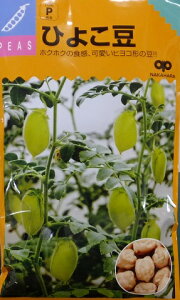 Ђ悱i͔|pjy̎zi1dl/100j؎/Ђ悱܂[H܂]