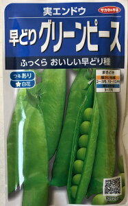 yGhEzǂO[s[Xi邠蔒ԁjyTJ^̃^lzi20mlj؎[H܂]97277yRCPz