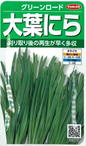 yjztɂiO[[hjyTJ^̃^lzi5mlj؎923889