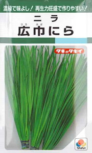 yjzLЂɂ y^LCczi13mlj؎[t܂][H܂]