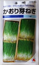 【芽ネギ】かおり芽ねぎ 【タキイ種苗】（1dl）野菜種/葱[秋まき][春まき]