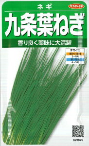 ytlMztlMi傤͂˂j yTJ^̃^lzi15mlj؎[t܂][H܂]yRCPz