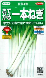 【おてがる一本ねぎ】夏扇4号 【サカタ交配】（3ml）野菜種[春まき][秋まき]923803