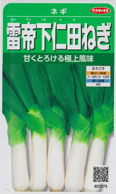 【ネギ】雷帝下仁田ねぎ 【サカタのタネ】（6ml）野菜種/葱[春まき][秋まき] 923877