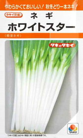 【根深ネギ】ホワイトスター 【タキイ種苗】（4.5ml）野菜種/葱[春まき][秋まき]RF