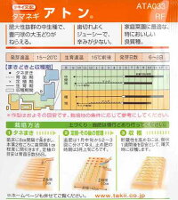 袋裏→クリックして拡大