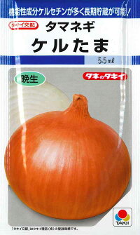 【タマネギ】ケルたま