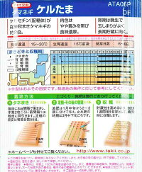 袋裏→クリックして拡大