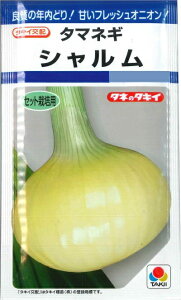 �y�^�}�l�M�z�V�������y�^�L�C��z�z�i5ml�j[�t�܂�]�Z�b�g�͔|�^�L�C��cDF