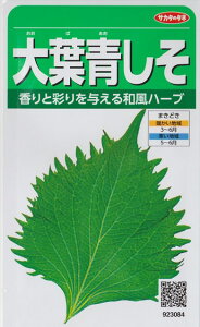 �y�V�\�z��t���� �y�T�J�^�̃^�l�z�i5ml�j��؎�/�V�\[�t�܂�]923084