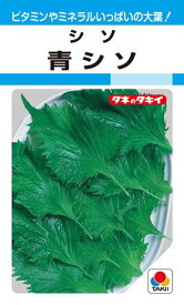 【シソ】青シソ 【タキイ種苗】（9ml）野菜種/青しそ[春まき]MF