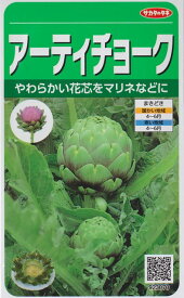 アーティチョーク 【サカタのタネ】（1.3ml）ハーブ[多年草][春まき] 928091