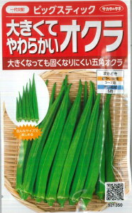 �y�傫���Ă��炩���I�N���z�r�b�O�X�e�B�b�N�y�T�J�^�̃^�l�z �i4ml�j��؎�[�t�܂�] 921350