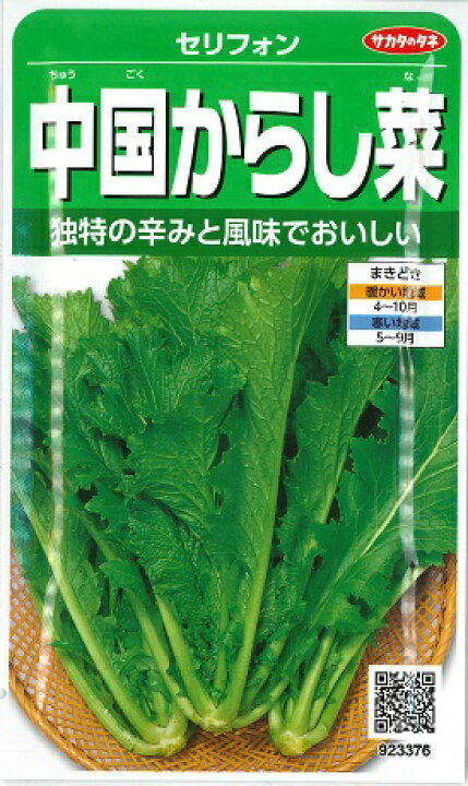楽天市場 セリフォン 中国からし菜 サカタのタネ 8ml 中国野菜 野菜種 春まき Hana Uta 米沢園芸 楽天市場店