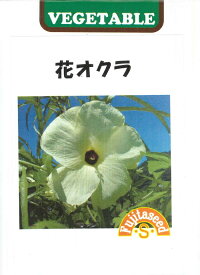 【花オクラ】（トロロアオイ）【藤田種子】（1ml/約40粒）野菜種[春まき]