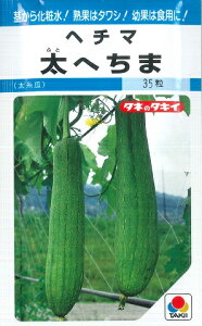 �y�w�`�}�z���ւ��܁@35���y�����Z�z�^�L�C��؎�[�t�܂�]MF