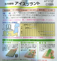 楽天市場 多肉植物 アイスプラント タキイ種苗 ペレット種子 100粒 春まき 秋まき Hana Uta 米沢園芸 楽天市場店