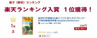 ブロッコリースプラウト