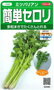 yȒPZz~coAiTJ^̃^lji0.2mlj؎[t܂][H܂](923086)yRCPz