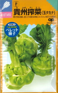 yU[TC̎zMB؁iʃ^Jij y̎ziybgq/200j؎[H܂]yRCPz