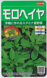 wCyTJ^̃^lzi0.8mlj؎[t܂]923083