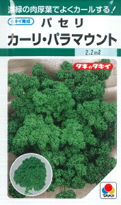 ypZz J[Ep}Egy^LCczi2.2mlj؎[t܂][H܂]GF