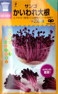 yXvEgzTS卪y̎zi25mlj؎