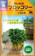 【スプラウト】かいわれブロッコリー【中原採種場】（25ml）野菜種[周年まき]【ブロッコリースプラウト通…