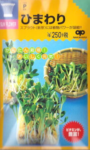 yXvEgzЂ܂y̎zi30mlj؎