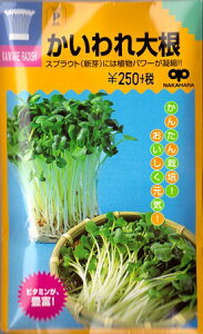 yXvEgz卪y̎zi30mlj؎